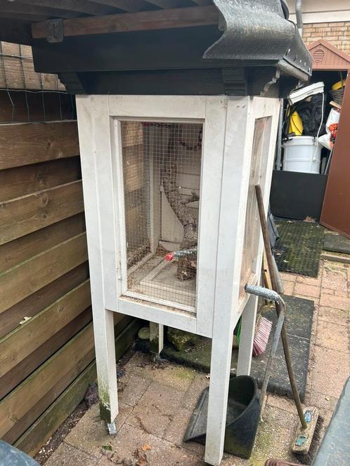 Vogelkooi / hok/ voliere, Dieren en Toebehoren, Vogels | Hokken en Kooien, Gebruikt, Vogelkooi, Ophalen