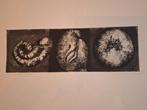 Triptiek 'Schelpen' Ets, Antiek en Kunst, Ophalen of Verzenden
