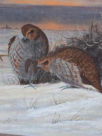 de Haas,  Patrijzen in sneeuw. Pastel.  Ca 1900. 59/69 cm. beschikbaar voor biedingen
