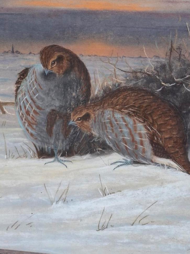 de Haas,  Patrijzen in sneeuw. Pastel.  Ca 1900. 59/69 cm., Antiek en Kunst, Kunst | Schilderijen | Klassiek, Ophalen