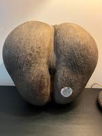 Coco de mer met certificaten, Ophalen