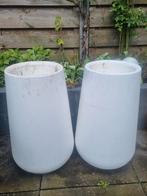 2 witte Elho plantenbakken Pure Cone High diam 43cm 66cm hg, 60 cm of meer, Kunststof, Rond, Gebruikt