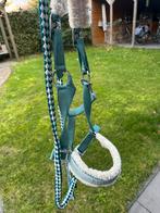 Halster, Dieren en Toebehoren, Paarden en Pony's | Hoofdstellen en Tuigage, Ophalen of Verzenden, Gebruikt