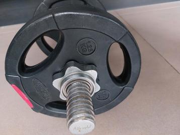 Dumbell halter beschikbaar voor biedingen