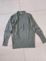 Koltruitje Lichtgroen in maat L, Maat 38/40 (M), Ophalen of Verzenden, Groen, True Spirit