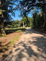 Kleinschalige honden opvang, Diensten en Vakmensen, Dieren | Honden | Verzorging, Oppas en Les