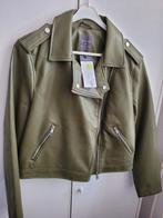 Groene Biker Jas - Primark - Maat M, Maat 38/40 (M), Primark, Nieuw, Ophalen of Verzenden