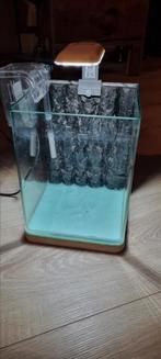 Kleine aquarium, Ophalen, Zo goed als nieuw, Leeg aquarium