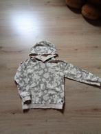 Hoody 2 stuks, Kinderen en Baby's, Kinderkleding | Maat 122, Ophalen of Verzenden, Gebruikt, Jongen, Trui of Vest