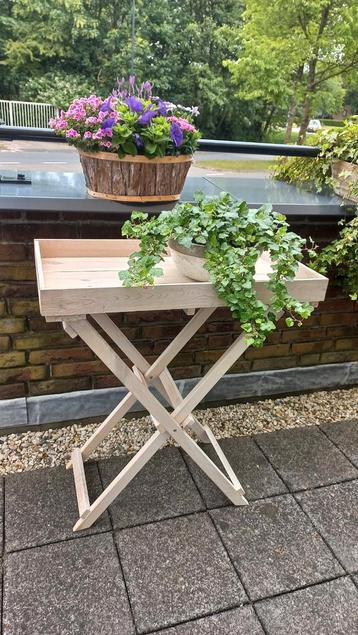 Nieuwe planten / oppot tuintafel beschikbaar voor biedingen