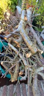 Haardhout-stookhout- barbecue- aanmaakhout, Minder dan 3 m³, Ophalen, Overige houtsoorten, Takken