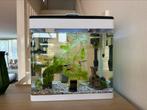 Goed draaiende Superfish Panorama 35 Wit LED, Dieren en Toebehoren, Ophalen of Verzenden, Zo goed als nieuw, Gevuld zoetwateraquarium