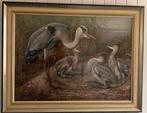 Reiger met jong, schilder Jan Van Oort 99x78 cm, Antiek en Kunst, Ophalen