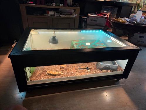 Te koop terrarium salontafel, Dieren en Toebehoren, Reptielen en Amfibieën | Toebehoren, Zo goed als nieuw, Ophalen