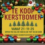 Kerstbomen Nordman te koop gezaagd en in pot gekweekt!, Ophalen