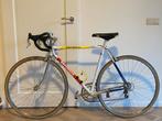Battaglin racefiets - Campagnolo Mirage - Nieuwstaat, Staal, Zo goed als nieuw, Dames, 53 tot 57 cm