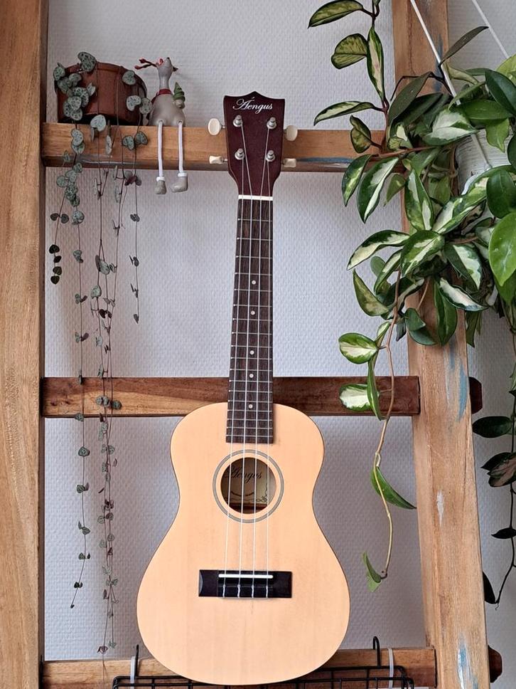 Áengus Ukelele - Weinig gebruikt!, Muziek en Instrumenten, Snaarinstrumenten | Overige, Zo goed als nieuw, Ukelele, Ophalen