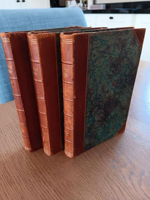 Theodor Storm - Storms Werke in sechs Teilen. (3 banden), Antiek en Kunst, Antiek | Boeken en Bijbels, Ophalen of Verzenden