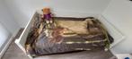 Flexa bed: laag, halfhoog en hoogslaper, Ophalen, Gebruikt, 180 cm of meer, 85 tot 100 cm