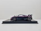 YY Model
Pagani Huayra BC
Chameleon Carbon
1/19 1:18 Nieuw, Ophalen of Verzenden, Nieuw, Auto