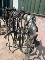 Tweespan shetlander/ pony tuig, Dieren en Toebehoren, Ophalen of Verzenden, Gebruikt, Overige soorten