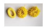 3 zenner elastieken haar/ruffels/geel/diameter 7 cm, Ophalen of Verzenden, Nieuw, Overige typen