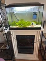 100 Liter Superfish Aquarium, Dieren en Toebehoren, Vissen | Aquaria en Toebehoren, Ophalen, Zo goed als nieuw, Gevuld zoetwateraquarium