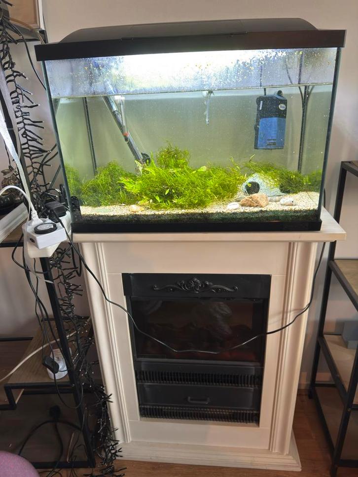 100 Liter Superfish Aquarium, Dieren en Toebehoren, Vissen | Aquaria en Toebehoren, Zo goed als nieuw, Gevuld zoetwateraquarium