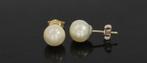 Grote parel 14k gouden dames vintage oorbellen stekers retro, Sieraden, Tassen en Uiterlijk, Antieke sieraden, Ophalen of Verzenden