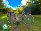 Tweedehands Batavus X Presure transporter damesfiets e-bike, Batavus, Info@batavus.nl, Versnellingen, Batavus