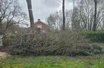 Gratis snoeihout ophalen, Tuin en Terras, Haardhout, Minder dan 3 m³, Ophalen, Overige houtsoorten, Takken