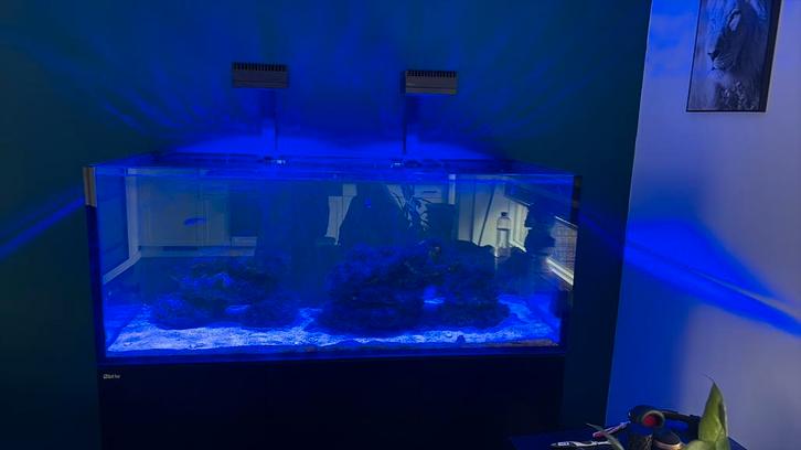 Red sea g2 625 deluxe met nog 4 jaar garantie, Dieren en Toebehoren, Vissen | Aquaria en Toebehoren, Nieuw, Leeg aquarium, Ophalen