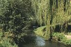 32630	Schin op Geul	Limburg	Gelopen met postzegel, Verzamelen, Ansichtkaarten | Nederland, Verzenden, Gelopen, Limburg