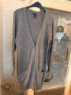 Grijze H&M lange cardigan - Maat M, Kleding | Dames, Truien en Vesten, Maat 38/40 (M), H&M, Ophalen of Verzenden, Zo goed als nieuw