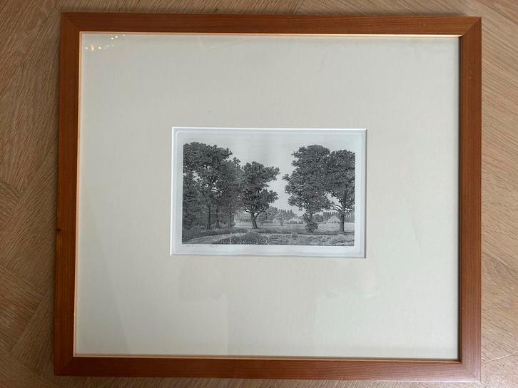 Philip Wiesman - Digitalis - Ets, Antiek en Kunst, Kunst | Etsen en Gravures, Ophalen