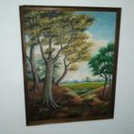 SCHILDERIJ LANDSCHAP OP DOEK, Ophalen