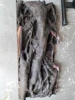 Aquarium achterwand, Ophalen of Verzenden, Gebruikt, Plant(en), Steen of Hout