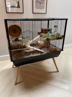 GROTE hamsterkooi (incl accessoires), Ophalen, Kooi, 60 tot 90 cm, Zo goed als nieuw