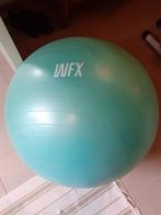 Gymbal - diameter 65 cm, Sport en Fitness, Ophalen of Verzenden, Gebruikt, Fitnessbal