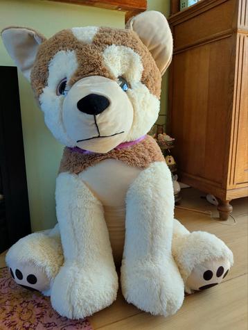 Grote knuffel hond  beschikbaar voor biedingen