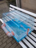 Knaagdieren kooi, Dieren en Toebehoren, Ophalen, Zo goed als nieuw, Kooi, Minder dan 60 cm
