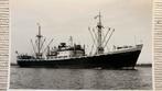 KNSM  - NESTOR   1949 - 1967  Noordzeekanaal, Ophalen of Verzenden, Zo goed als nieuw, Motorboot, Kaart, Foto of Prent