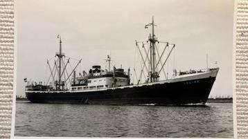 KNSM  - NESTOR   1949 - 1967  Noordzeekanaal beschikbaar voor biedingen