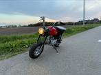 Skyteam Monkey 50CC, Ophalen, Gebruikt, Skyteam, 50 cc