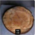 Decoratie boomstam schijf diameter 38 cm, Ophalen of Verzenden, Zo goed als nieuw, Overig