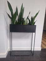2 Zwarte plantenbakken van de  Xenos, Tuin en Terras, Bloembakken en Plantenbakken, Ophalen, Gebruikt, Binnen, Minder dan 60 cm