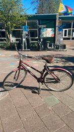 Sportieve damesfiets, Ophalen, Gebruikt, Probike