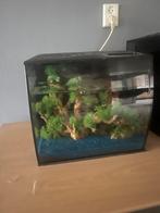 Fluval flex 35L, Ophalen, Gebruikt, Leeg aquarium