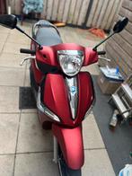 piaggio liberty, Ophalen of Verzenden, Overige modellen