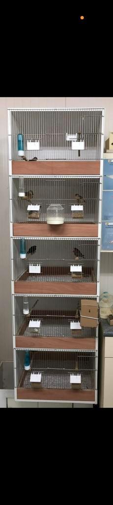 Kweekkooien, Dieren en Toebehoren, Vogels | Hokken en Kooien, Zo goed als nieuw, Broedkooi of Kweekkooi, Hout, Ophalen